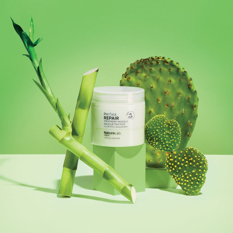 Repair Treatment Masque on green background with bamboo and prickly pear.
