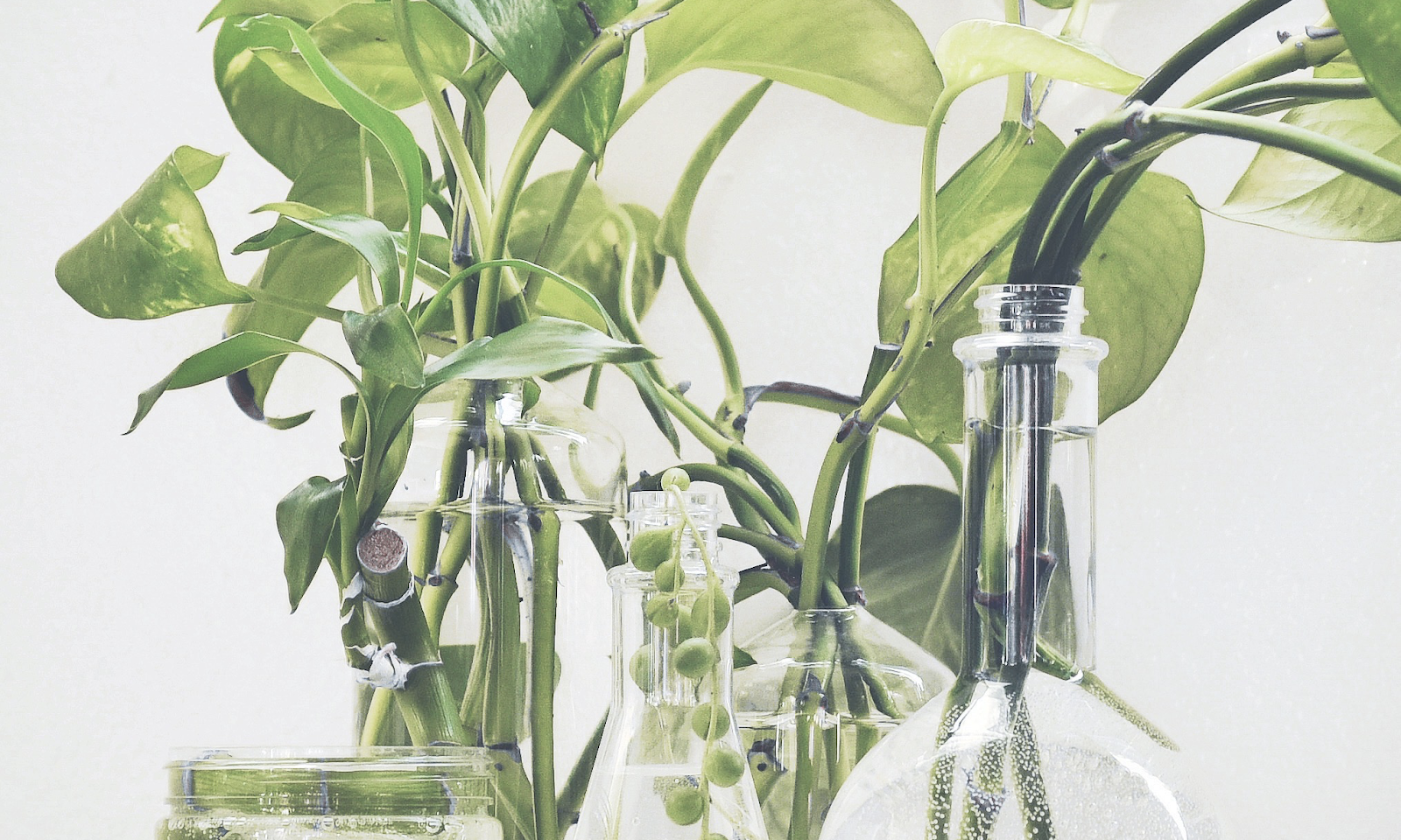 Ways to re-use NatureLab bottles