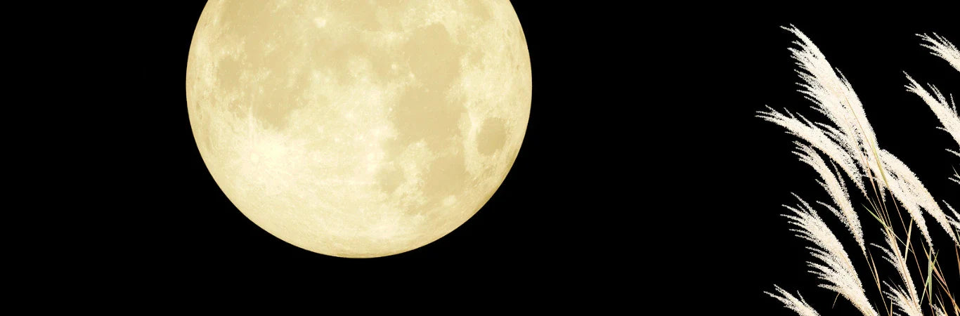 Otsukimi: Japan’s Moon Festival and the Rituals of Renewal