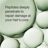 Kiseki Molecular Repair Leave-In Hair Masque