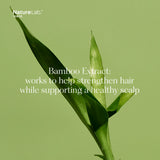 Repair & Detangle Set