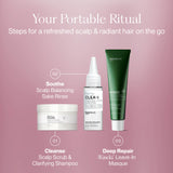 Detox & Repair Sampler Set