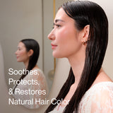 Saisei Radical Results Ritual