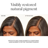 Saisei Radical Results Ritual