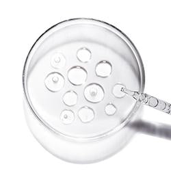 Perfect Shine | Shampoo | Conditioner | Oil Mist – NatureLab Tokyo