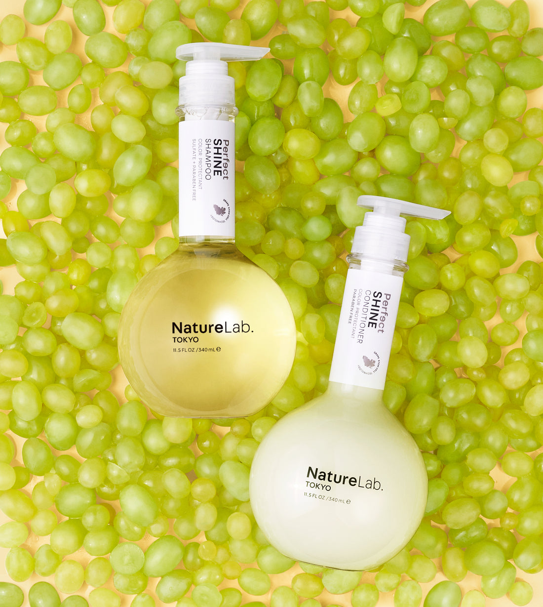 Shine Shampoo & Conditioner Duo on grape background.